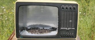 Кормушка для птиц в корпусе телевизора